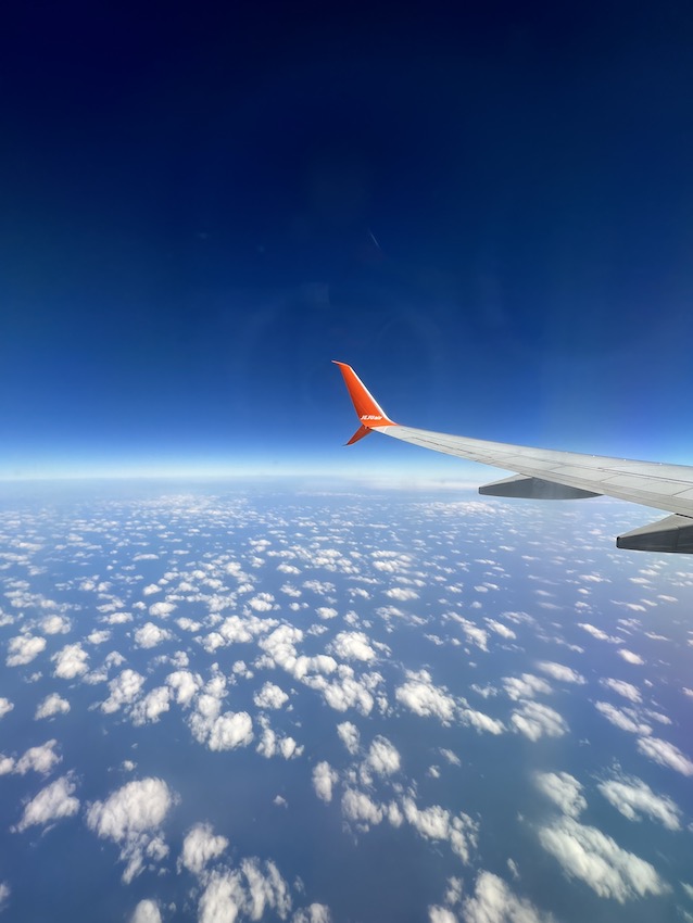 따뜻한 남쪽으로