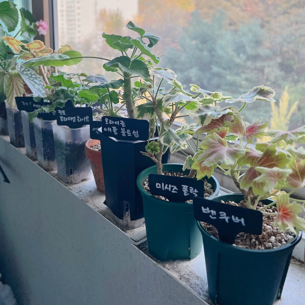 내일과 모레는 영하라고 하니